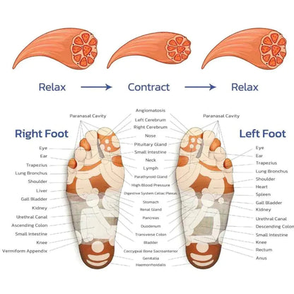 HealthyLife™  EMS Foot Pain Relief Massager